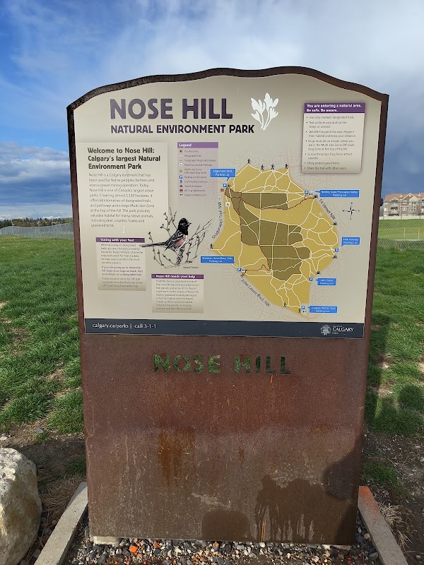 Nose Hill Park 3