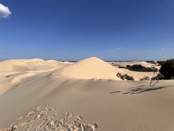 Alexandria Dune Field 1