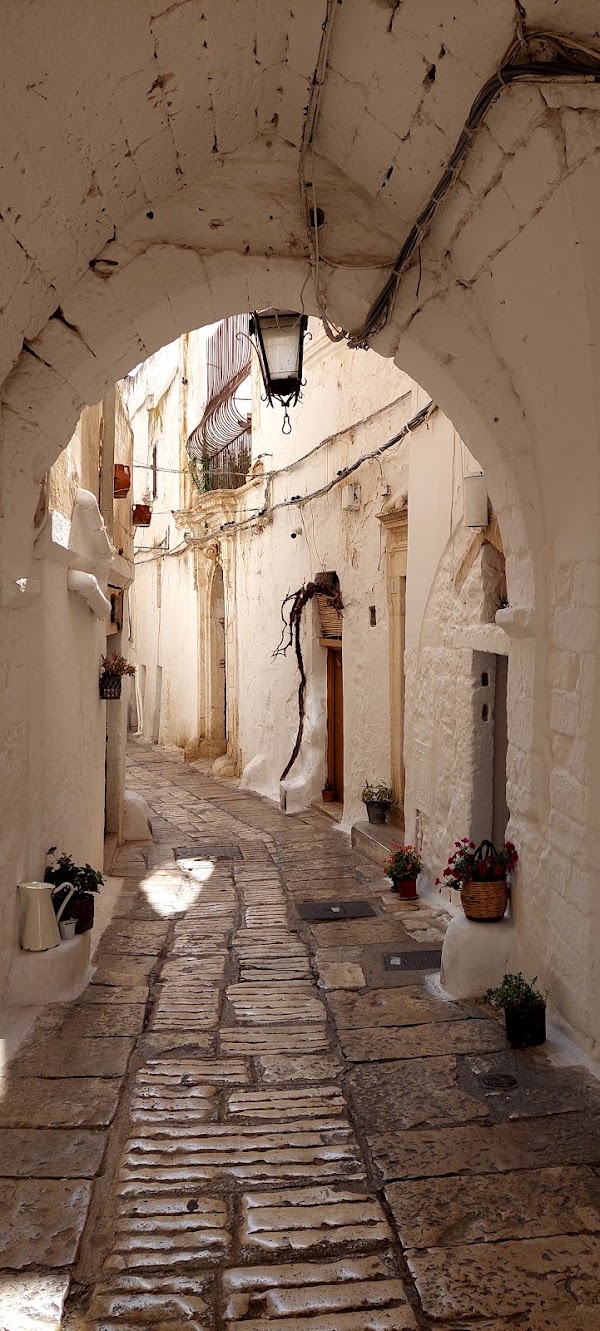 La casa con la porta blu 5