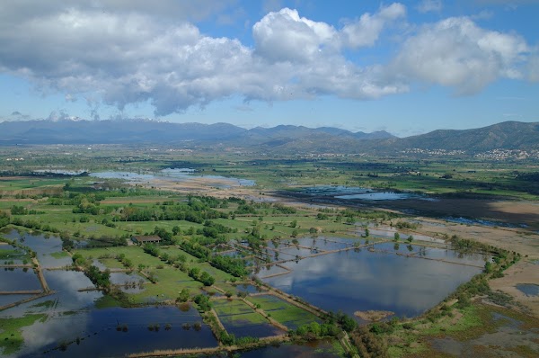 Aiguamolls de l'Empordà
