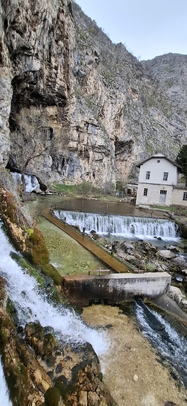 Bosnia 40