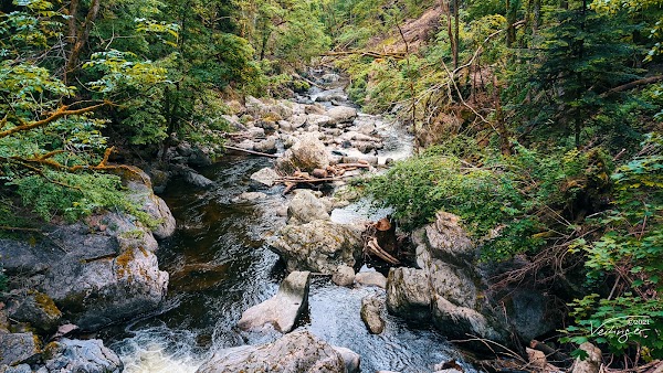 Albsteig Schwarzwald 4