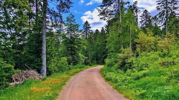 Albsteig Schwarzwald 3