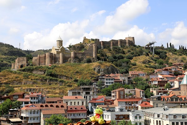 Georgia 🇬🇪 15