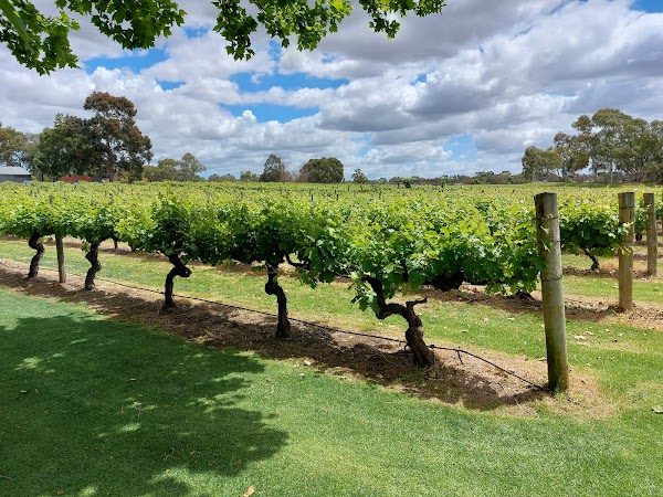 Sandalford Wines 3