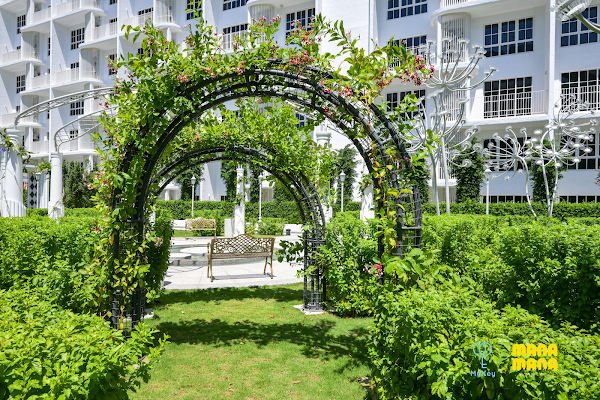 The Stallionz Ipoh by MyKey Global