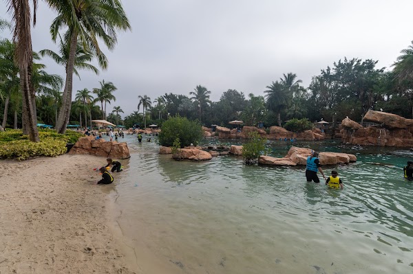 The Grand Reef 5