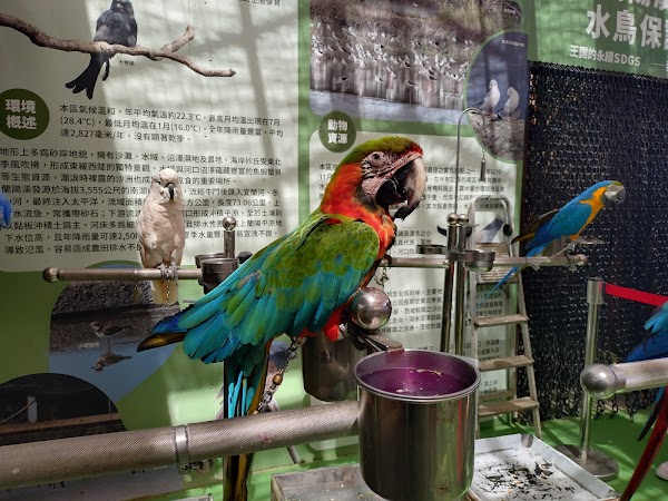 Yilan Animal Kingdom 5
