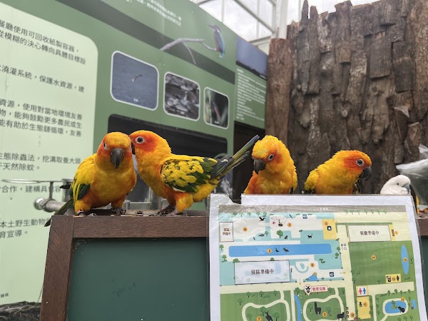 Yilan Animal Kingdom 4