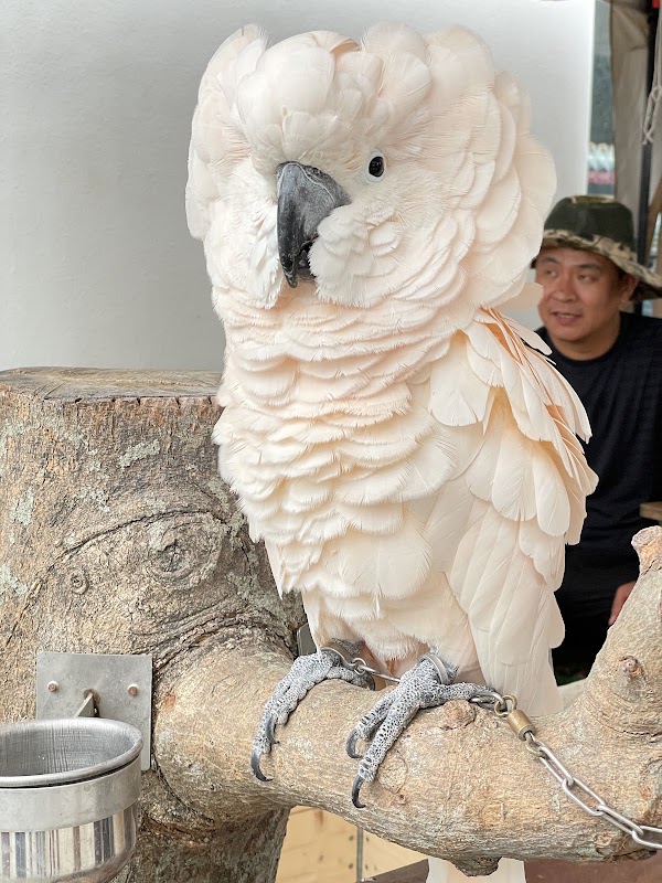 Yilan Animal Kingdom 3