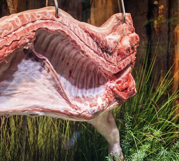 Shinjungsangan Jeju black pig specialty store 3
