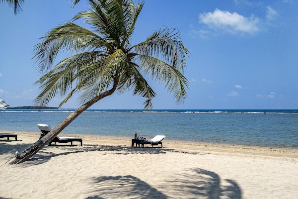 Sri Lanka 31