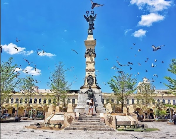 Plaza Libertad 1