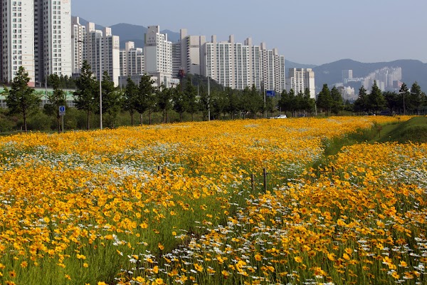 화명생태공원