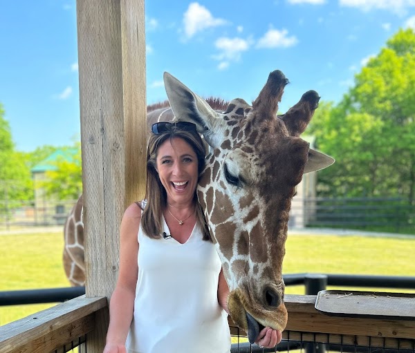 Safari Niagara
