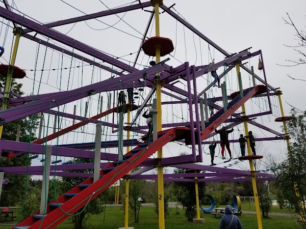 Safari Niagara 3