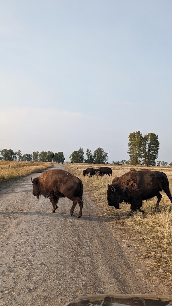Antelope Flats Road