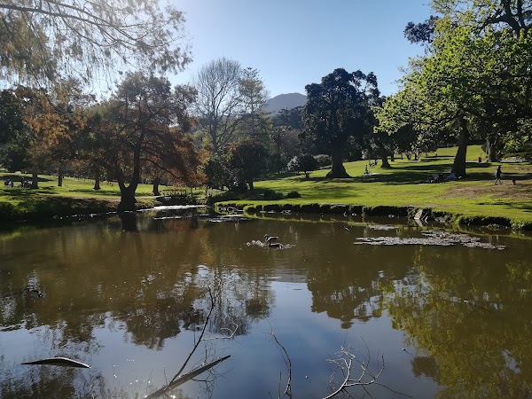Wynberg Park