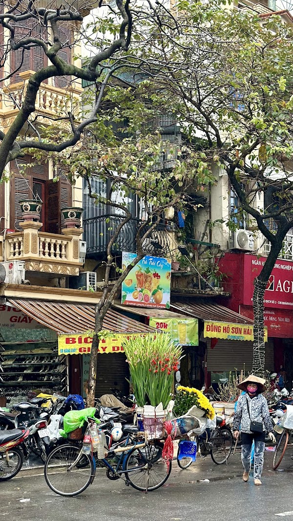 Old Quarter 5