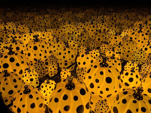 YAYOI KUSAMA Museum 5