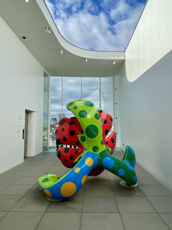 YAYOI KUSAMA Museum 4