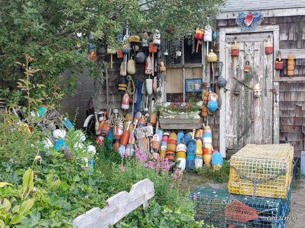 Bearskin Neck 2