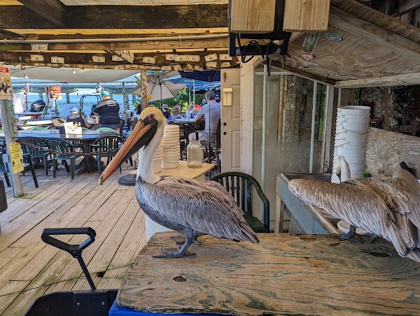 Robbie's of Islamorada 3