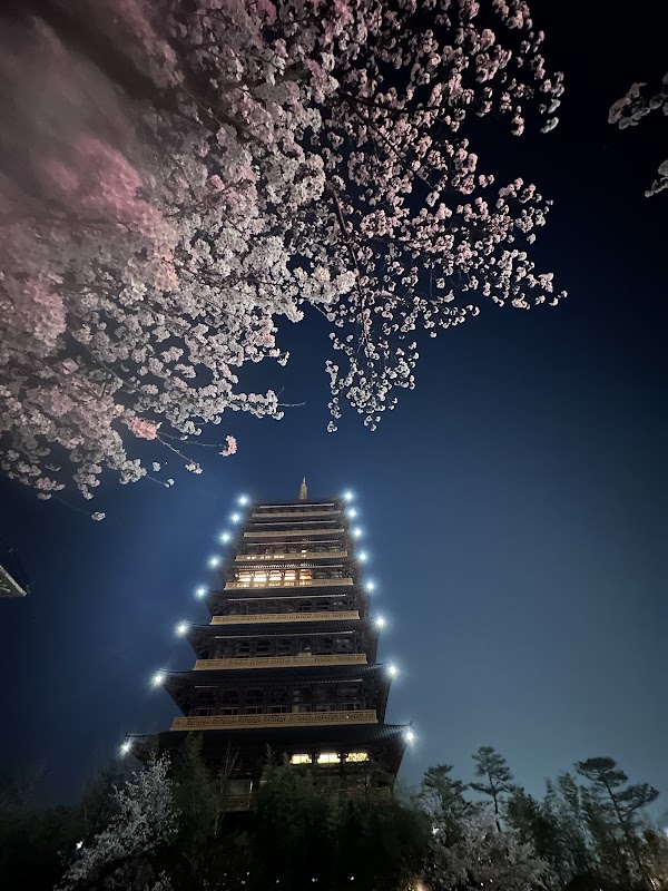 Jungdo Tower 3