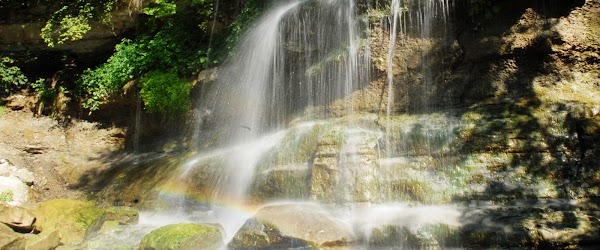 Rock Glen Conservation Area