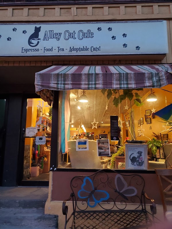 Alley Cat Cafe