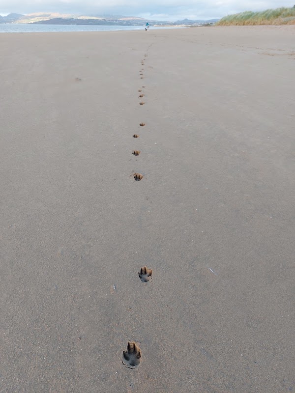 Lisfannon Beach 2