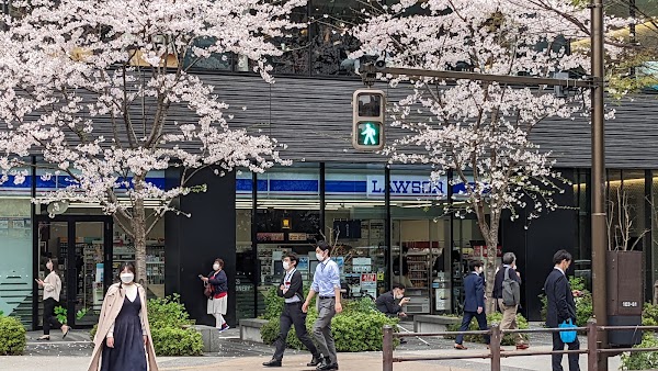 Lawson