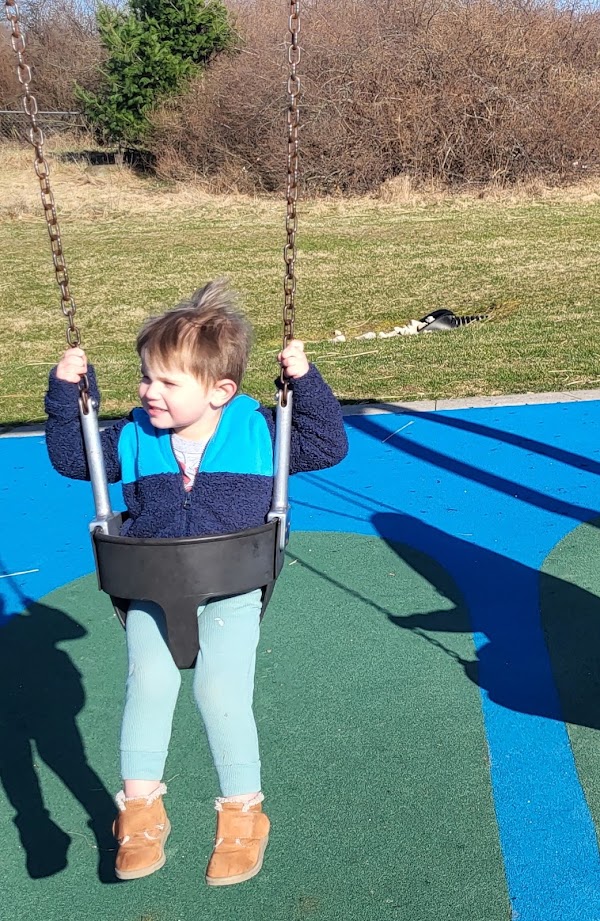 Survivor Playscape