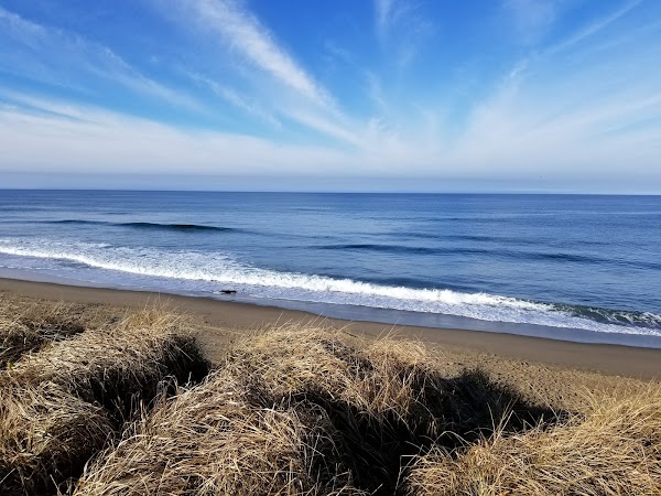 Horsfall Beach