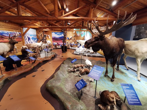 MacBride Museum of Yukon History 3