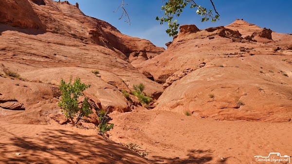 Leprechaun Canyon 5
