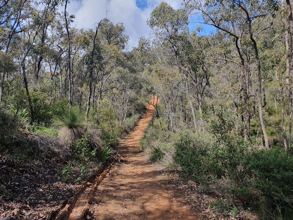 Baldwins Bluff Trail 5