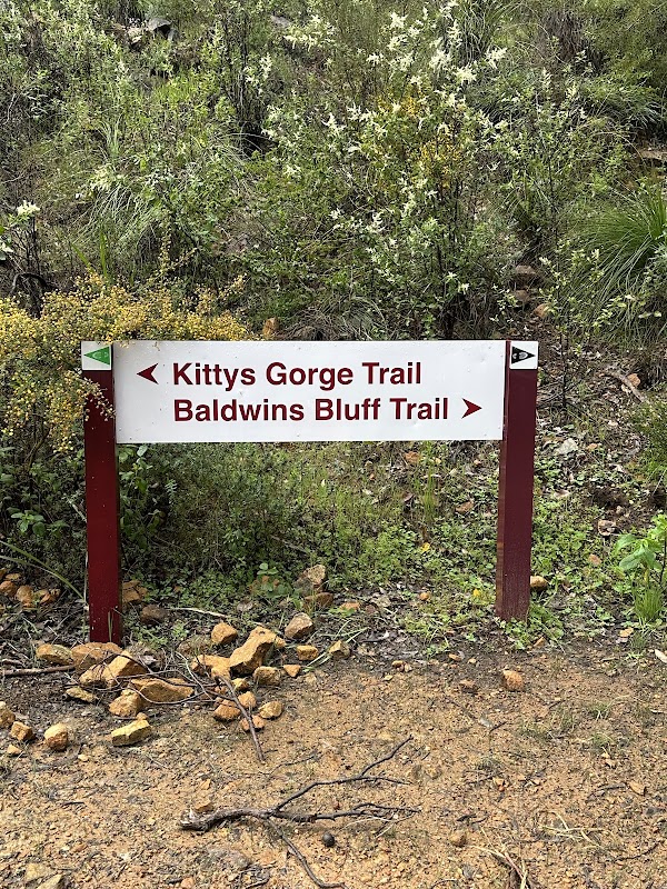 Baldwins Bluff Trail 4