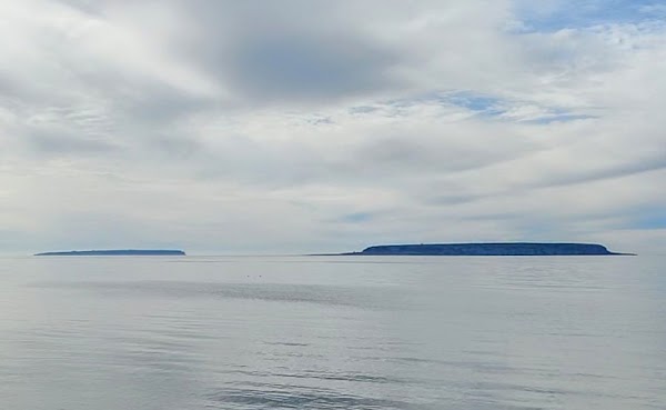 Karlsö Islands 1