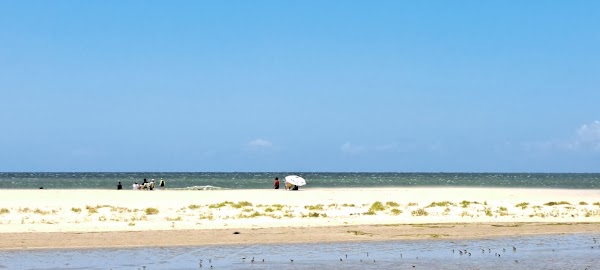 Barra de Valizas 5