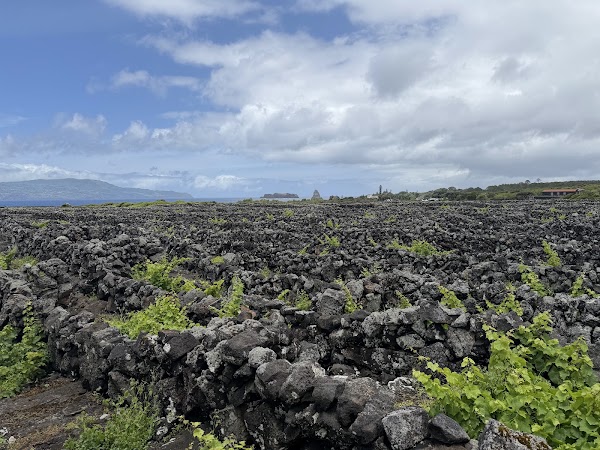 Açores