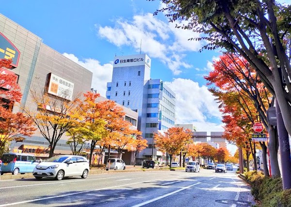 Niigata 5