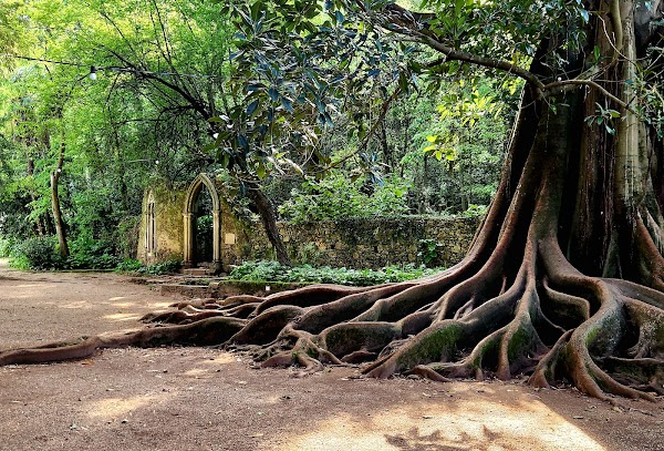 Jardins da Quinta das Lágrimas