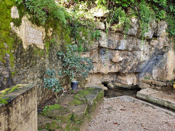 Jardins da Quinta das Lágrimas 4