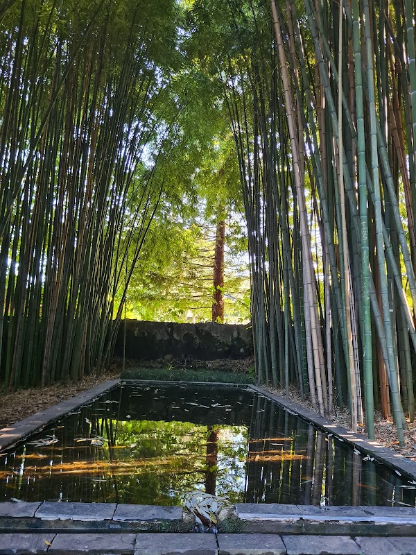 Jardins da Quinta das Lágrimas 3