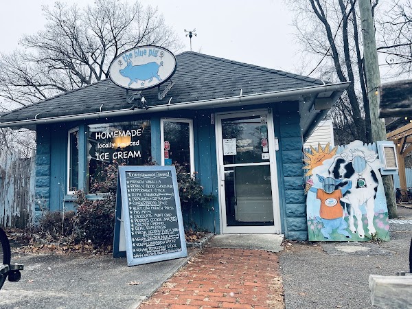 The Blue Pig