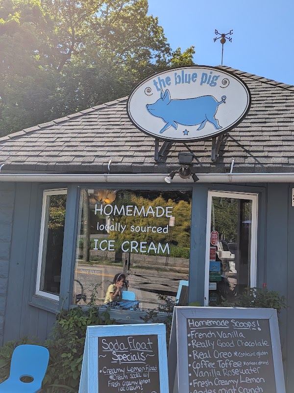 The Blue Pig 4