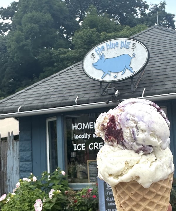 The Blue Pig 3