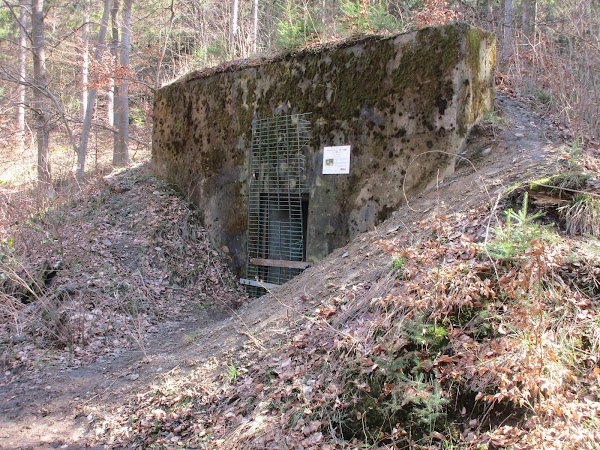 Buhlert 1