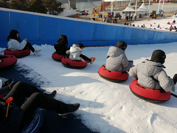 Ttukseom Park Snow Sledding 5